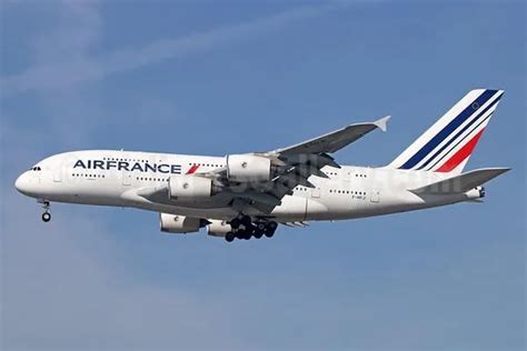 air france emotional support animal